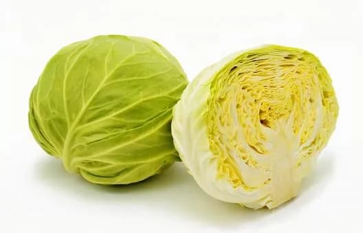 【急募】キャベツの硬い所好きなやつっているんか？ｗｗｗｗｗｗｗｗｗｗｗｗｗｗｗｗ