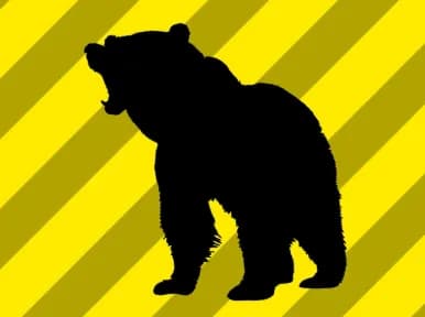 【悲報】ヒグマに襲われた男性の友人「素手で殴りまくったけどダメでした・・・・」