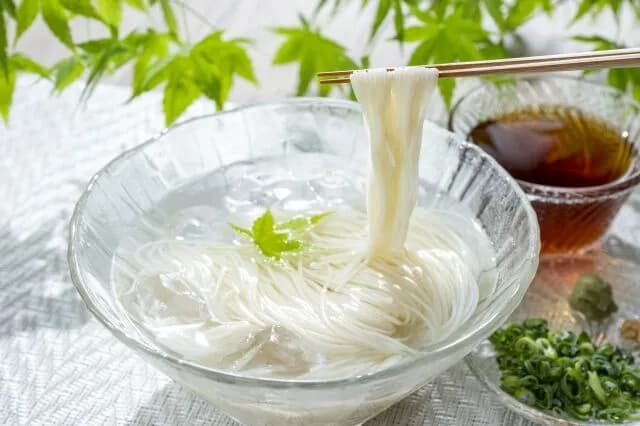 素麺「糖質の塊です。腹膨れにくいです。味は出汁しだいです。」←天下取れた理由www