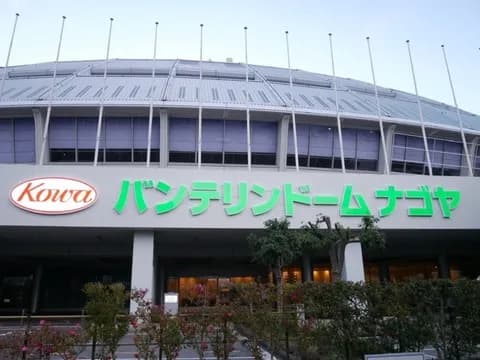 明日ナゴヤドームに初めて野球見に行くんやが気をつけることある？