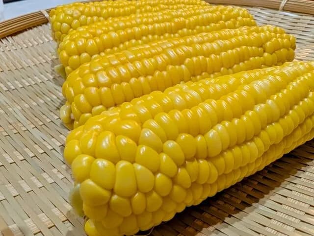 ◯◯食べ放題！これの全く新しい人気出そうなやつ教えろ