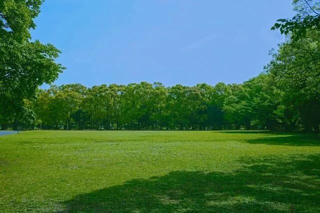 お金がかからない趣味あげてけ！