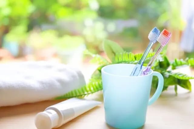 歯磨き毎日しない奴ｗｗｗｗｗｗｗｗ