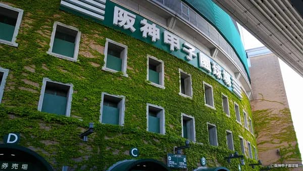 【高校野球ベスト8】京都国際×山梨学院、関東一×日大三、県岐阜商×横浜、沖縄尚学×東海大姫路