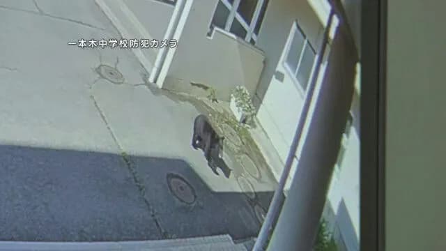 クマが中学校に進入　副校長がクマの前に立ちはだかりにらみ合い、生徒守る　岩手県