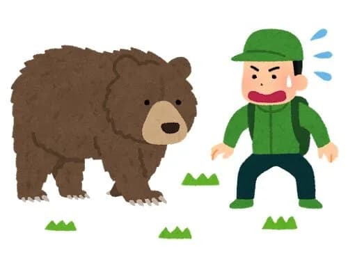 森の中でクマさんに出会った時の対処法