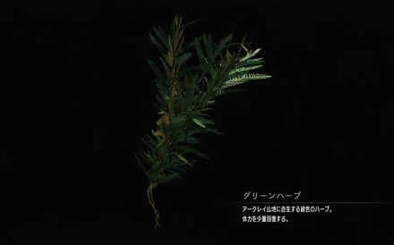 日本のゲーム「ゾンビに噛まれてもハーブ食えば治ります」