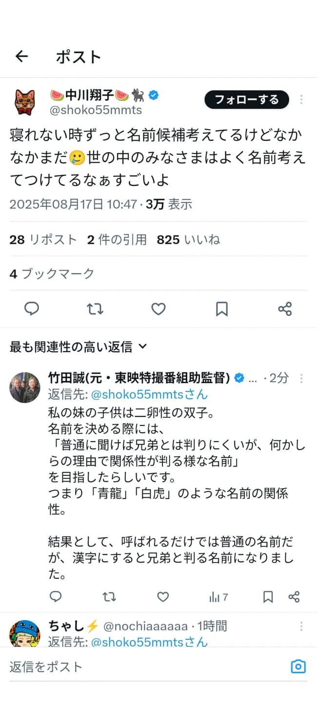 しょこたん「双子の名前どうしよう」