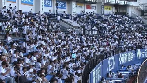 ロッテの観客動員数、昨年と比べるとけっこう落ちてる…