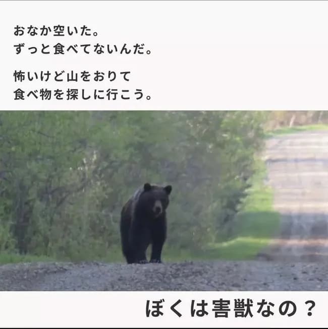 【画像】クマさん「ねぇ人間さん、ぼくは『害獣』なの？」