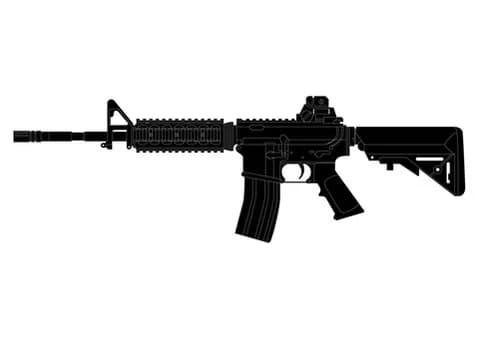 【悲報】アメリカ人の家に侵入したクマサン、AR15で撃ち殺される