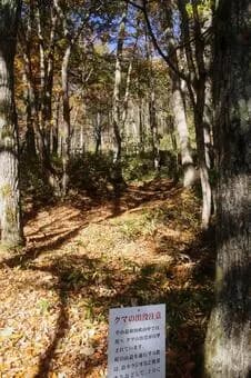 【悲報】「熊スプレー」買ったけど威力ヤバくて草ｗｗｗｗｗｗｗｗｗｗｗｗｗｗｗｗ