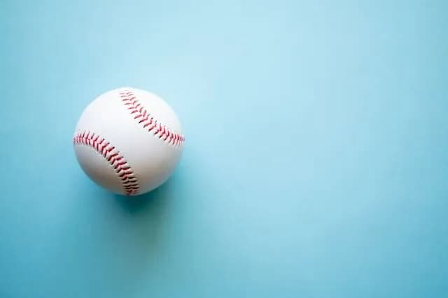 野球ゲームって自分で選手操作するより人事とか采配するやつの方がおもろいよな