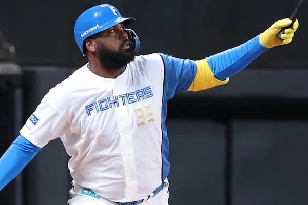 日ハムレイエス（本塁打王）の球場別本塁打数