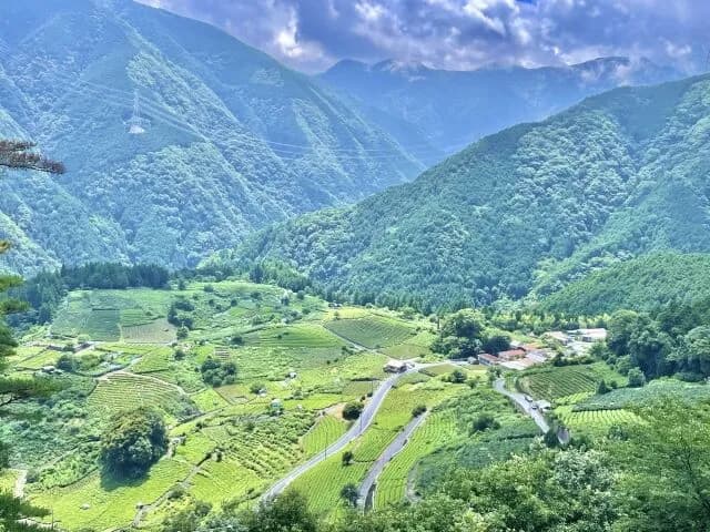 逆に日本一の田舎県ってどこだよ