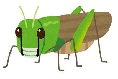 トノサマバッタってどこに存在するの