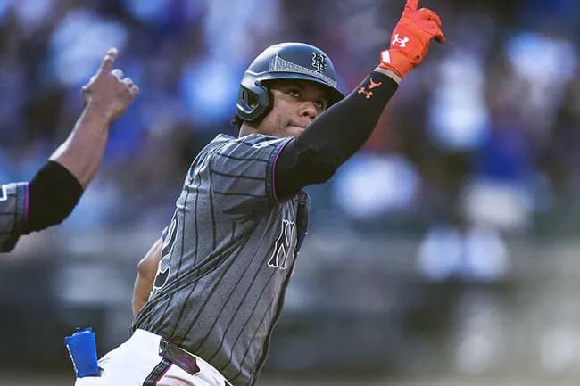 【朗報】野球史上最高年俸の1100億円ソトさん、ちゃんと歴史的偉業を達成していた