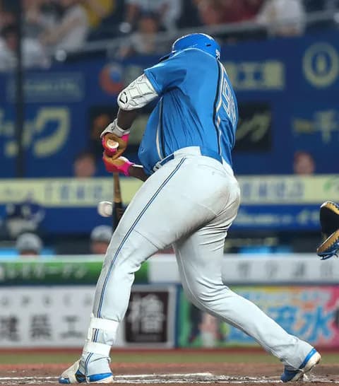 レ【日本ハム】レイエス２安打２打点「外野に飛ばそうとアグレッシブに打ちにいきました」