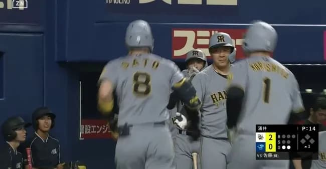 サトテル36号ｗｗｗｗｗｗｗｗｗｗｗｗ