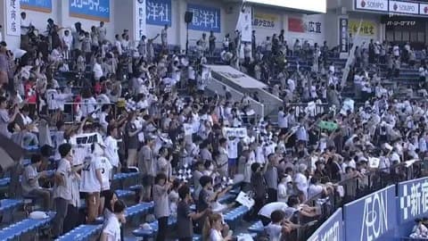 12球団観客動員数 2024年vs2025年