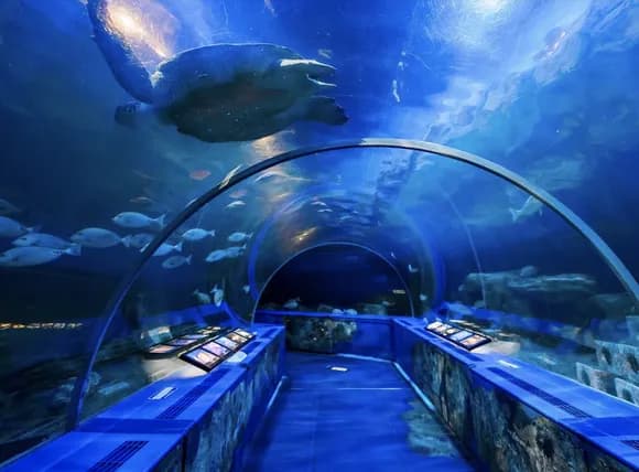 【朗報】しながわ水族館とかいう値段がチートの関東最強の水族館ｗｗｗｗｗｗｗ