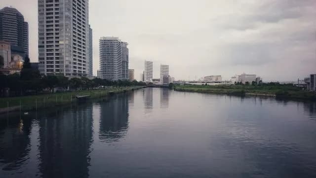 【悲報】ベイスターズが優勝しても飛び込む川が帷子川しかない