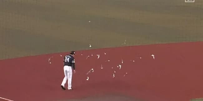 【速報】ZOZOマリンに鳥の群れ襲来