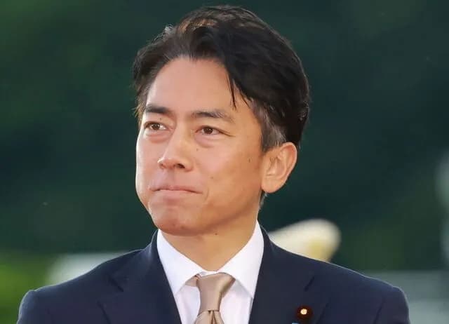 【悲報】日本首相、ほぼほぼ進次郎確定ｗｗｗ