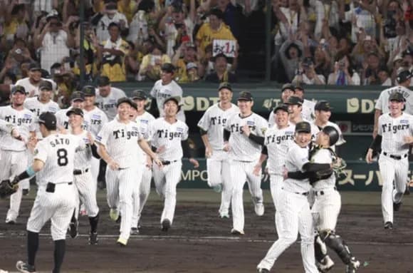 【悲報】阪神さん実は7回しかリーグ優勝したことがないｗｗｗｗｗｗｗｗｗｗｗｗｗｗｗ