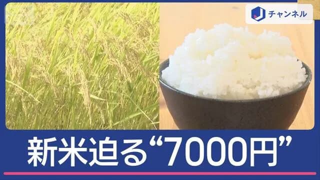 【悲報】新米、5キロ7000円へ😭