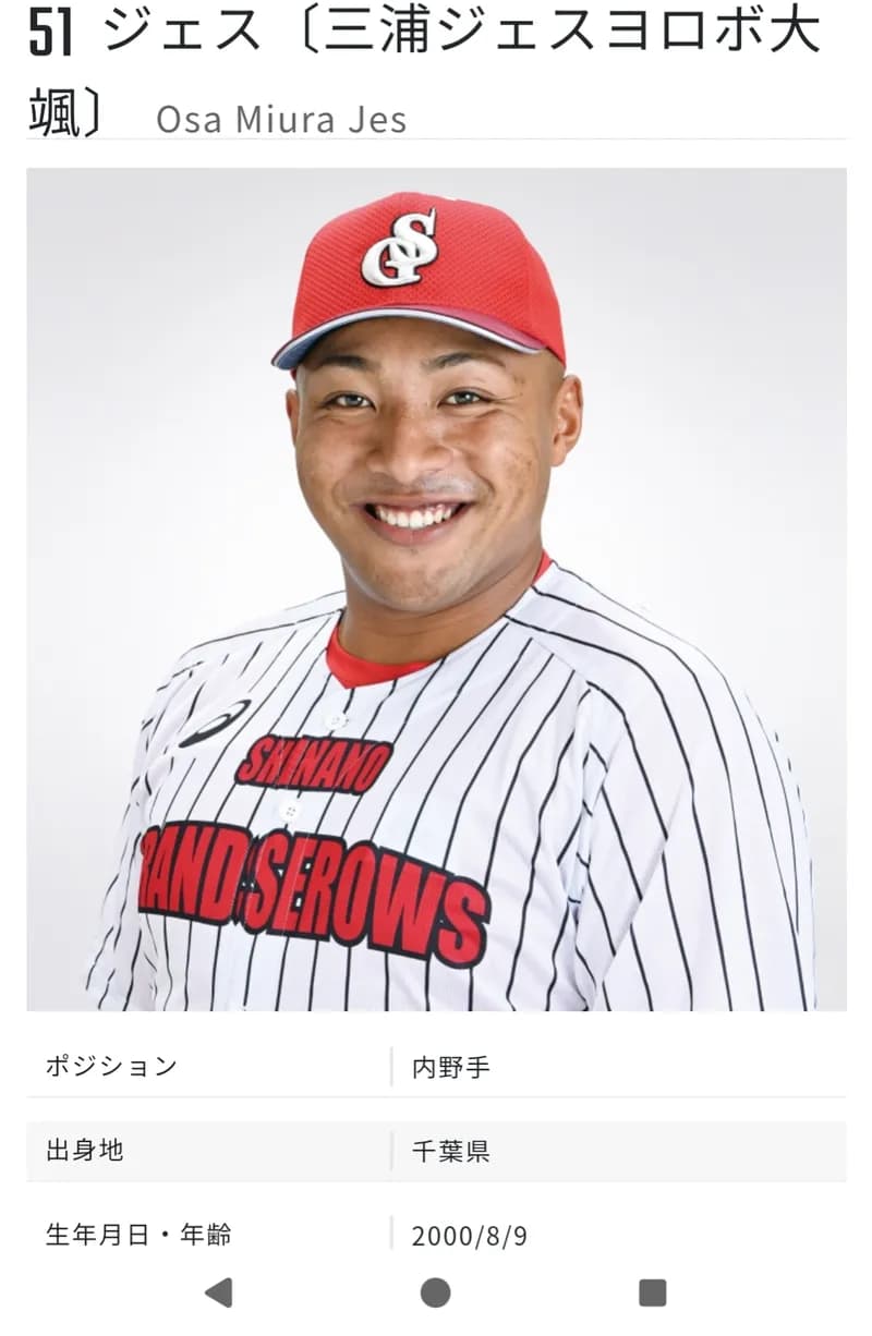 次のドラフトで阪神が獲りそうな独立リーグHR王の打球、エグすぎるwwwwwww