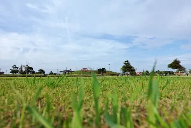 初見じゃ500%読めない日本の市