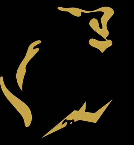 【試合結果】阪神vs横浜　2025/09/19 【早川6回無失点 森下2安打1打点1HR 高寺＆ヘルナンデス1安打1打点 岩貞＆ドリス＆岩崎完封リレー】