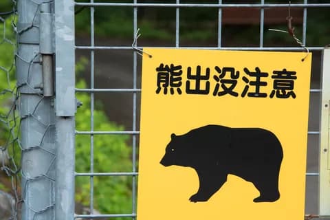 【馬鹿】役所「クマに出くわした場合は2mまで近づいて弱装弾で撃ち殺してね」