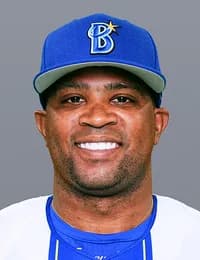 DeNAビシエド選手は太もも裏を痛めて途中交代　明日以降は状態を見て