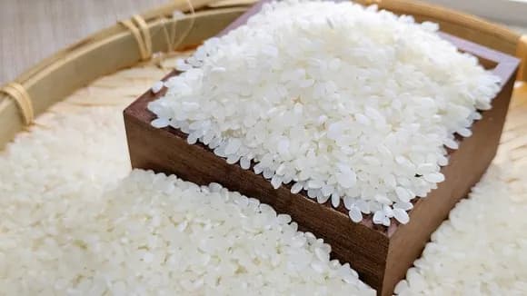 【悲報】JAで新米が売れず昨年の半分の販売量に。卸売業者は2024年産米の在庫を大量に抱え買い控え・・・・・