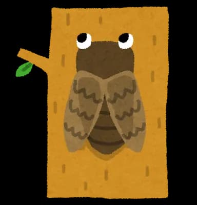 ワイ、セミなんやが質問ある？