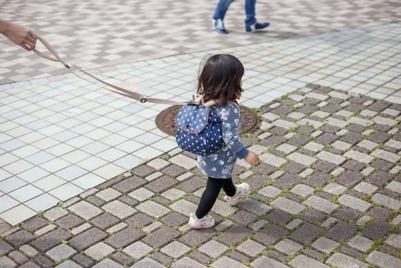 【画像】子供をペット化する道具が、大流行してしまう・・・・・