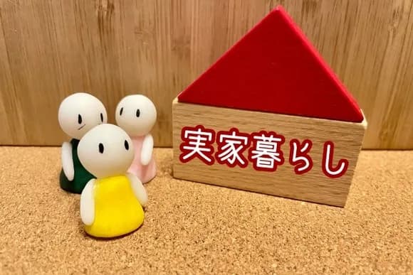 【悲報】子供部屋おじさん「母親に下着を洗濯してもらって食事まで用意してもらってます」←これ・・・・