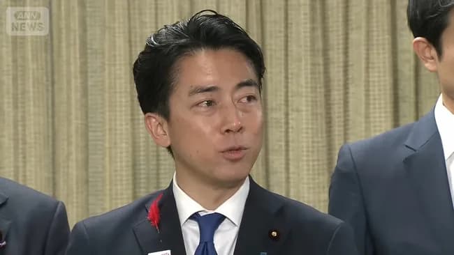 小泉進次郎(家柄S、容姿S、学歴S、性格S、ユーモアS、メンタルS)←こいつが負けた原因