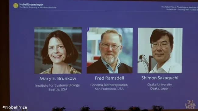 ノーベル生理学・医学賞に大阪大学特任教授の坂口志文さん（74）ら3人　免疫抑制細胞