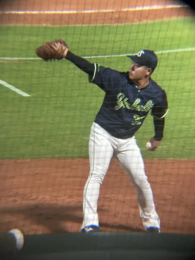 【悲報】今年のセリーグ新人王、史上最低の争い