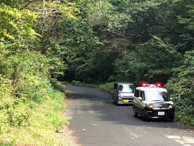 熊に襲われた男性、頭部と体が分断して死亡