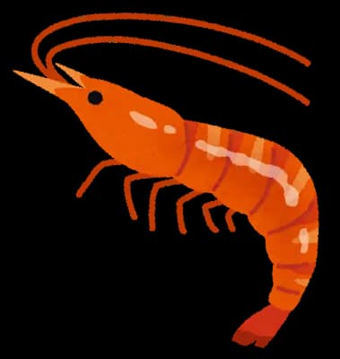 海老のグロさは異常。丘に上がったセミの幼虫やん