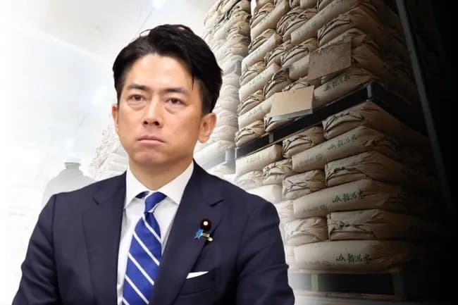 【悲報】小泉農水大臣クビか？あれだけコメ価格下げたのに…