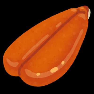 ボラって海にウジャウジャいるのにカラスミってクソ高いよな