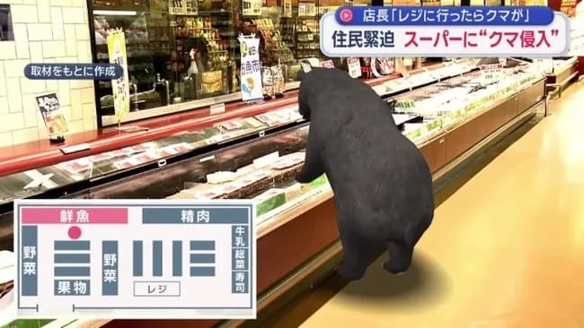 【悲報】クマさん、どんぐりが無くなりスーパーにお買い物へ行くも出禁に