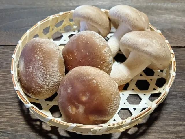 シイタケが全く食えないとかいうどんな職場に絶対に1人は居る奴ｗｗｗｗ