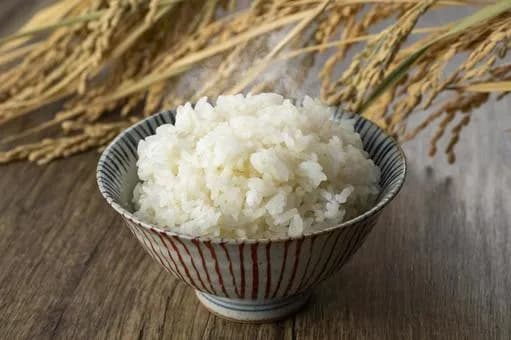 【朗報】ご飯に醬油だけかけて食べたことある？ｗｗｗｗｗｗｗｗｗｗｗｗｗｗｗｗ