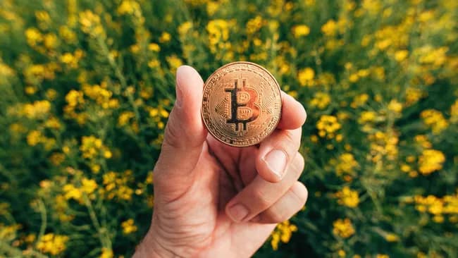 ビットコインさんうっかり3兆円損してしまう